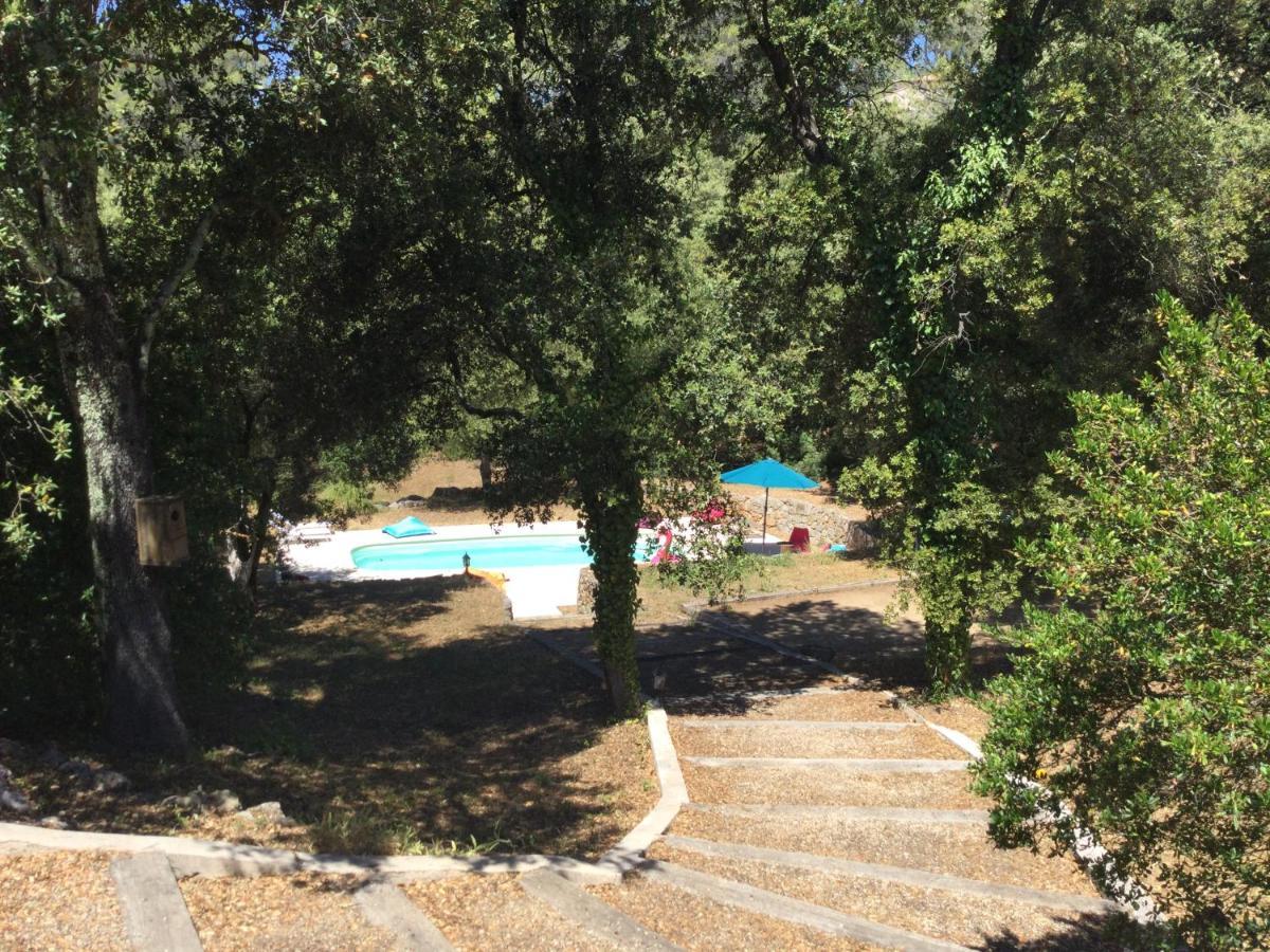 Villa Bleucassis Taradeau Exterior photo